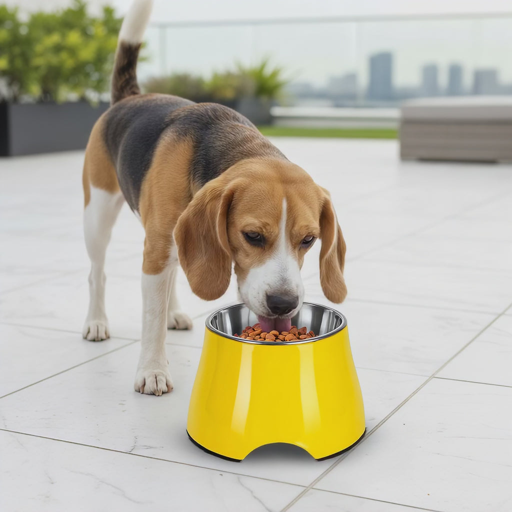 Elevated Pet Bowl with Non-Slip Stainless Steel (One Set)